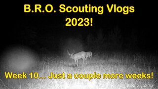 B.R.O. Scouting vlogs 2023! Week 10... It cooled a bit!!