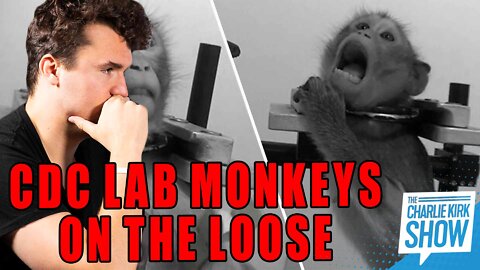 CDC Lab Monkeys on the Loose