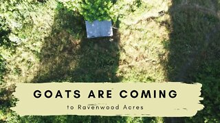 Goats are coming to Ravenwood Acres: PT 1