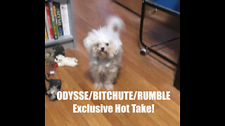 Rumble/Odysee/Bitchute Exclusive Hot Take: Nov 20th 2023 News Blast!