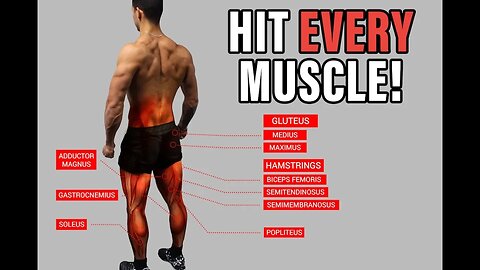 The Best Science-Based Lower Body Workout for Growth (Quads_Hams_Glutes)