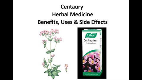 Centaury - Herbal Medicine - Benefits, Uses & Side Effects