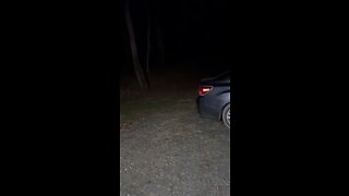 Strange Sounds coming from the woods