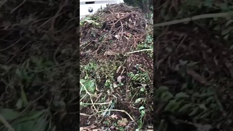 Stop making compost the hard way!