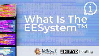 What Is The EESystem