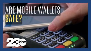 Don't Waste Your Money: Are Mobile Wallets Safe?