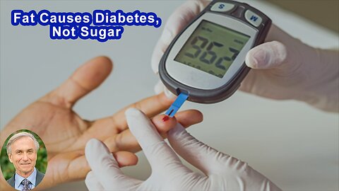 Fat Causes Diabetes, Not Sugar
