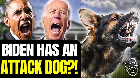 Biden's VICIOUS Dog FORCIBLY REMOVED From White House after ATTACKING, BITING 12 Staffers ON-CAMERA