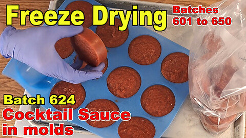 Cocktail Sauce - Freezing and Freeze Drying Test in Molds