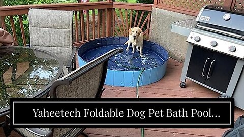 Yaheetech Foldable Dog Pet Bath Pool Hard Plastic Doggy Duck Swimming Pool Collapsible PVC Outd...