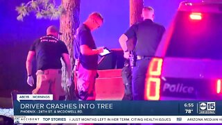 Man dies after being shot, crashing into tree in Phoenix