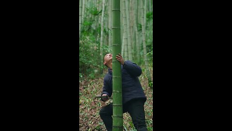 bamboo cutting