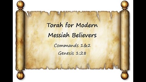 Studying Torah Commands 1 & 2