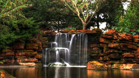 Waterfall in the dense forest. Forest sounds. Singing birds.