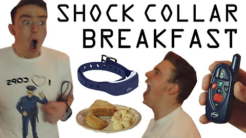 SHOCK COLLAR BREAKFAST