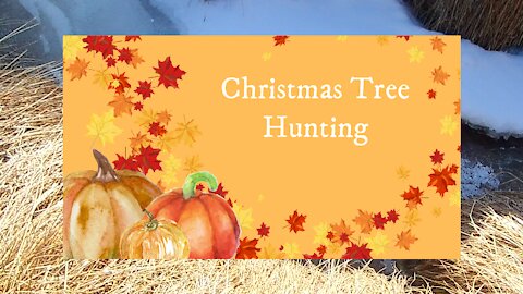Christmas Tree Hunting