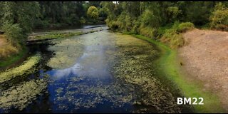 Skydio 2 Autonomous Drone Searching For Escaped Alligators