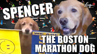 Spencer's Marathon Effort