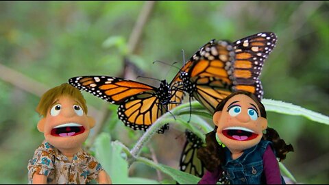 Imagination Trip 3 (Bugs) - Gus and Gia Puppet Show
