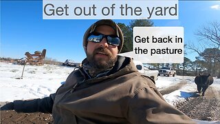 Get out of the yard