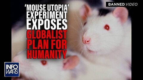 BREAKING- Calhoun’s 'Mouse Utopia' Experiments Expose Globalist