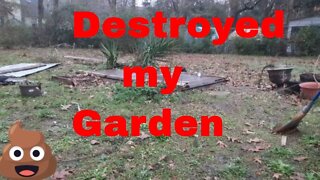 Destroyed my garden packing