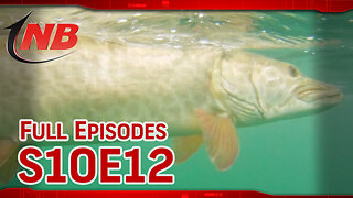 Season 10 Episode 12: Mixing it Up for Early Fall Montreal Muskies