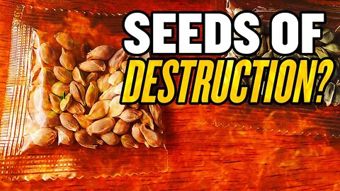 Mysterious Seeds from China—Are They Dangerous?