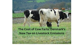 Denmark's Bold Plan: Taxing Cow Farts to Save the Planet!
