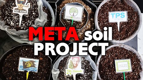 Can Mr. Canucks, Dr. Coco, 420 Scene & BuildaSoil Actually Grow? META Soil Project Episode 1