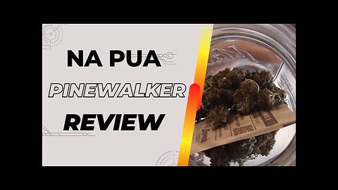 Pinewalker | Na Pua Botanicals | Hemp Flower Review (Dime, Deal or Ditch)