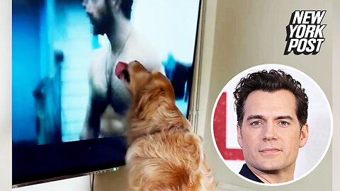 Superman's best friend: adorable video shows pooch obsessed with Henry Cavill
