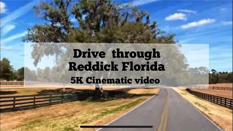 Drive Through Reddick, FL - Cinematic 5K with Gopro Hero 10