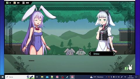 Rabi-Ribi (gameplay)