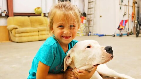 Dogo Argentino Puppy Earns the AKC's Canine Good Citizen Title After 4 Weeks of Training [GUWD#6]
