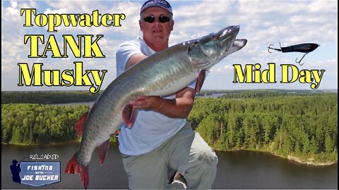 Topwater TANK Musky at Mid Day!