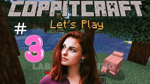 Minecraft Let's Play - Coppitcraft | Ep 3 - Let's Go Chicken!