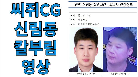 씨쥐CG 신림동 칼부림 영상 최초 공개__