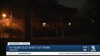 17-year-old shot in Roselawn