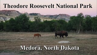 Theodore Roosevelt National Park & Medora, North Dakota