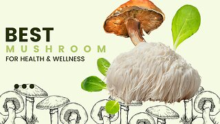 Best Mushroom For Health And Wellness 2023