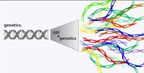 Epigenetic Survival Dr Robert O Young drrobertyoungDotCom 5G Epigenetic Apocalypse