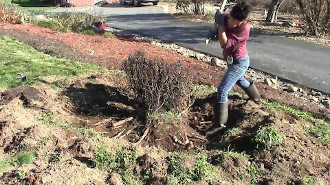 The Struggle | Woman Against Tree Stump