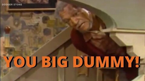 You Big Dummy! #funnyvideo