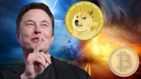 Dogecoin STORMING ⚠️ Elon Musk Bitcoin Clue MASSIVE ⚠️