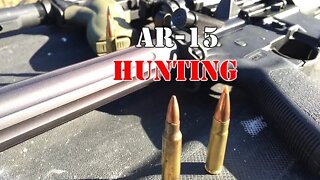 Hunting with AR's 101