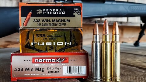 .338 Win Mag - Ammo Test [And Fail]