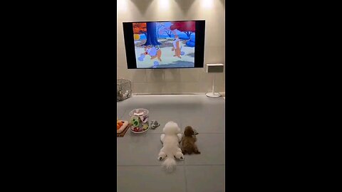 pretty cute baby dog seen tv cartoon