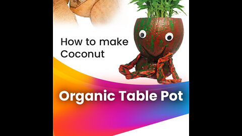 Coconut Shell Craft Ideas - I'm Groot - Organic Office/ Computer Table Pot - How to make Table Pot