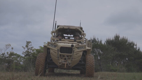 III MIG at Jungle Warfare Training Center: MRZRs (B-Roll)